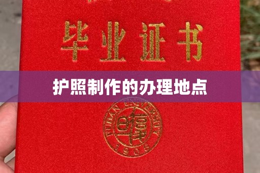 新龙护照制作的办理地点